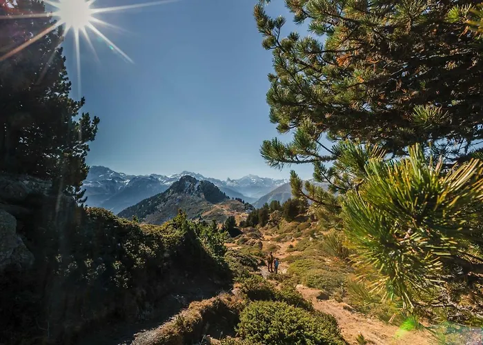 Minerva Antares * Bettmeralp