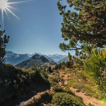 Minerva Antares * Bettmeralp